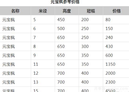 元宝枫的价格一路上涨，大规格优质苗一株能卖上万元(图1)