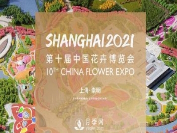 5月，第十届中国花博会将在崇明拉开帷幕