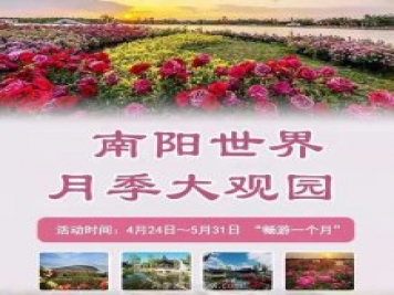 第十二届南阳月季花会4月29日开幕，活动丰富多彩
