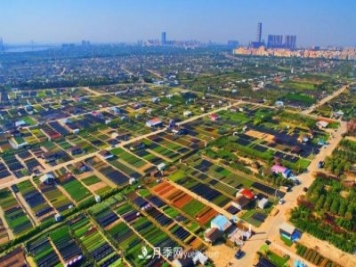 广东省中山市横栏镇，这个3万亩的花木之乡，亩均年产值竟达10万元